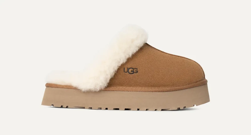 Disquette Pantoffel
