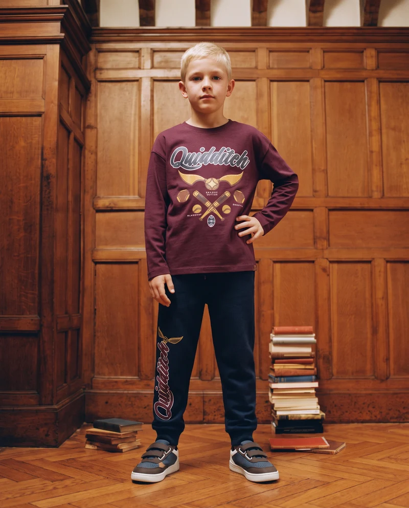 T-shirt maniche lunghe Harry Potter - Bordeaux