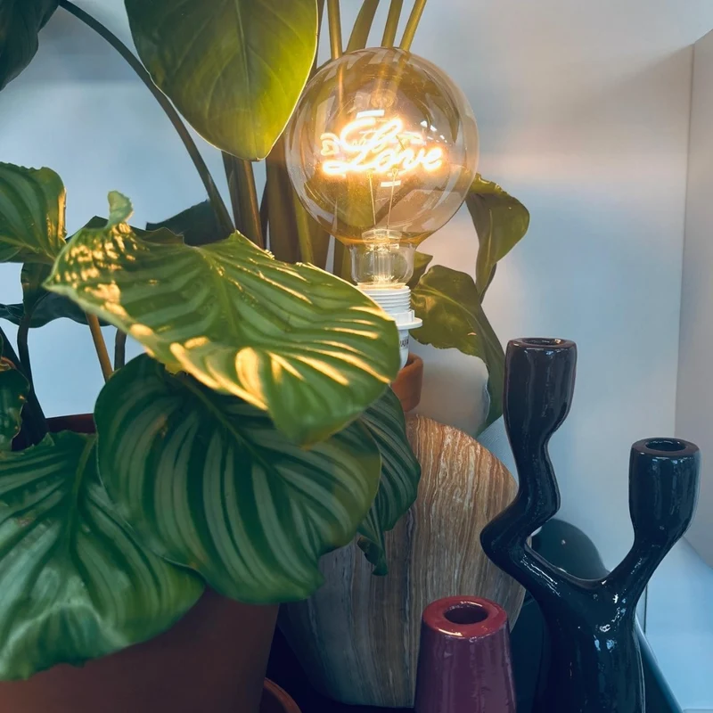 LED Lamp Love E27