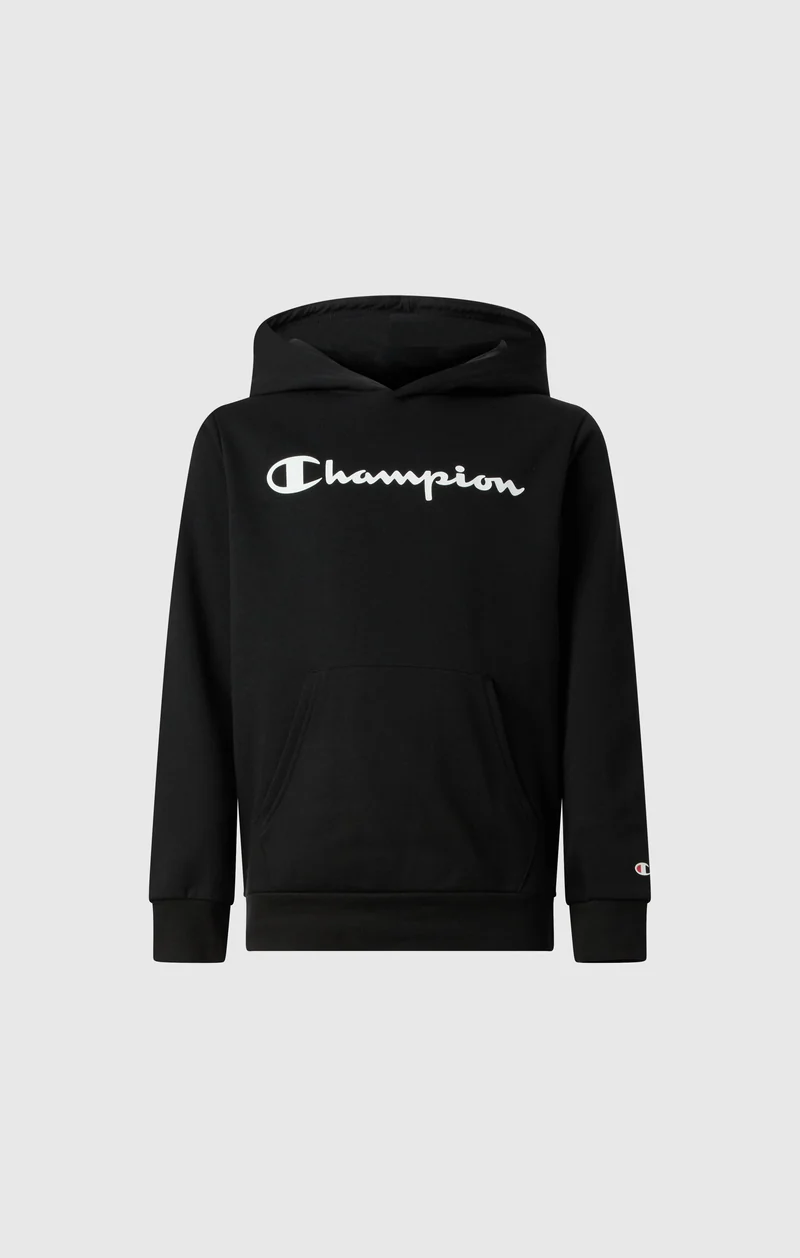 Boys' Fleece Hoodie Sweatshirt Script Logo