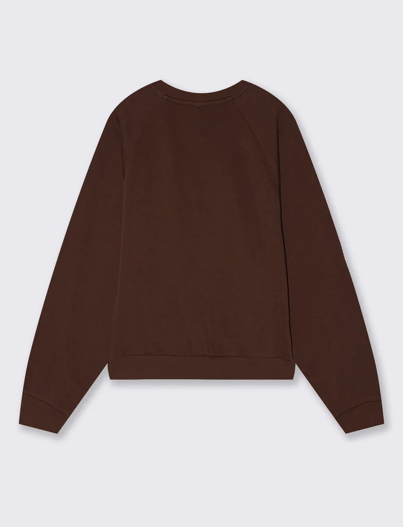 Felpa girocollo manica raglan basica - Marrone cioccolato