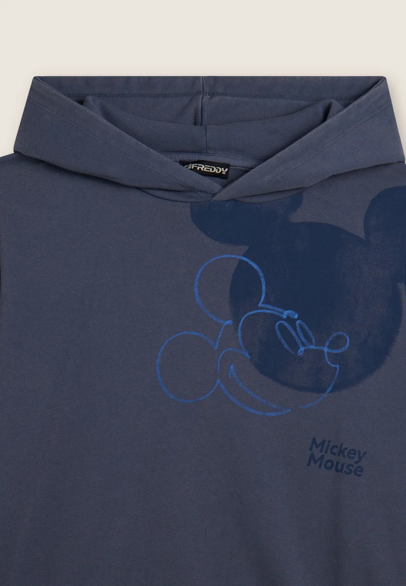 Hoodie with Disney Embroidery