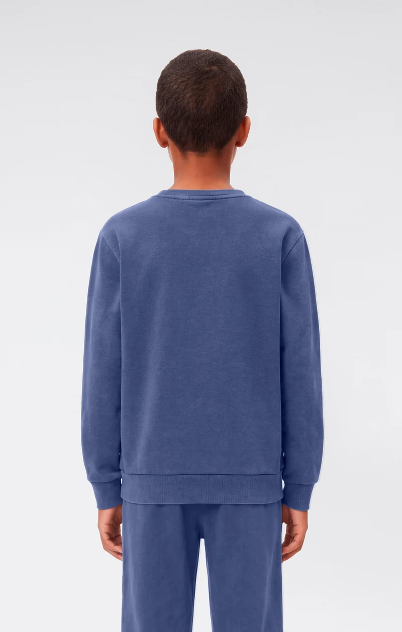 Boys’ Washed Effect Crewneck Sweatshirt Icons