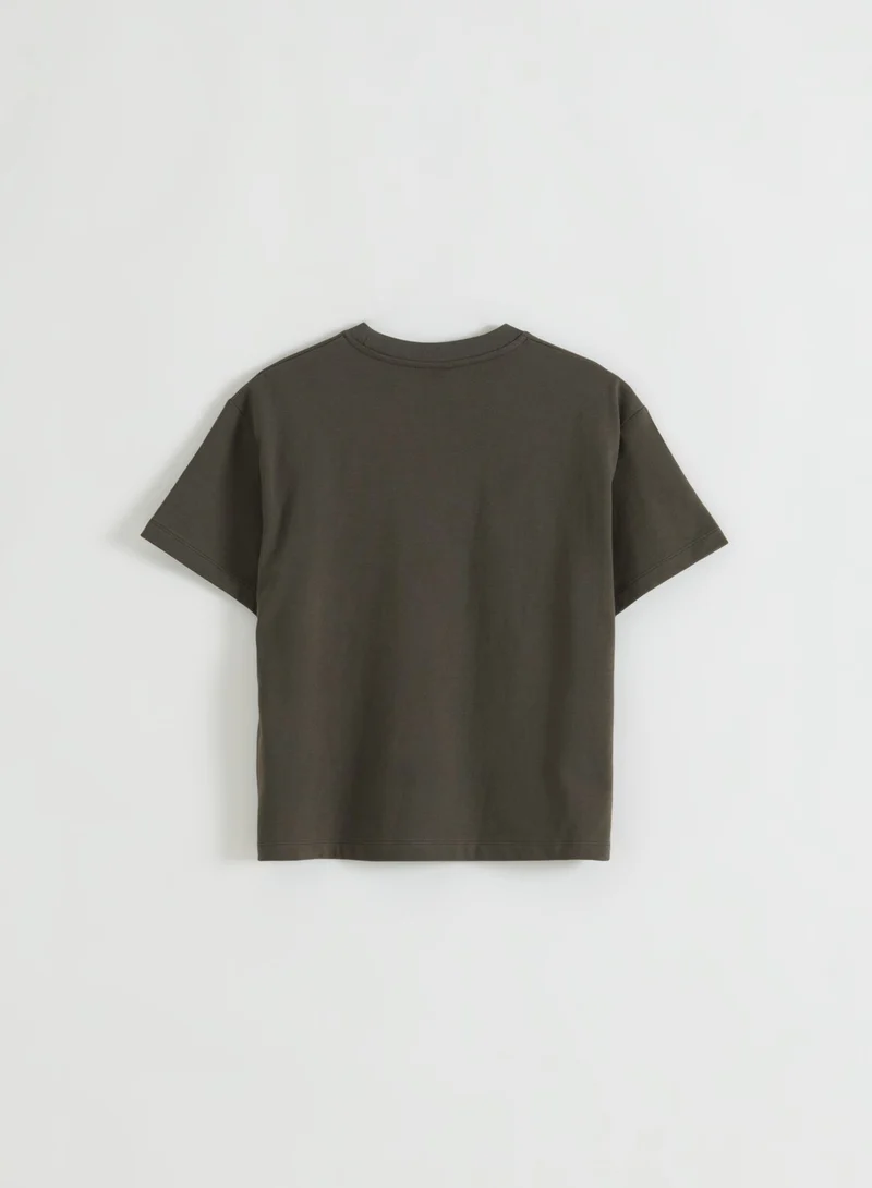 Dark Ivy Varsity Boxy T-shirt