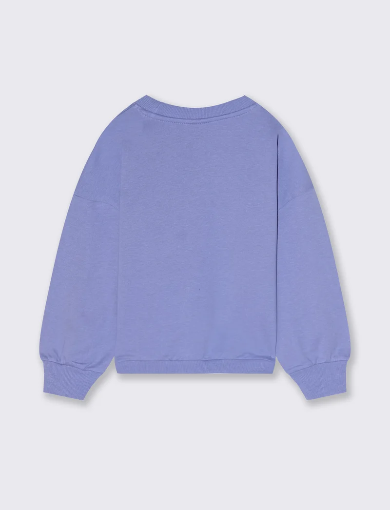 Felpa girocollo in cotone. - Azzurro