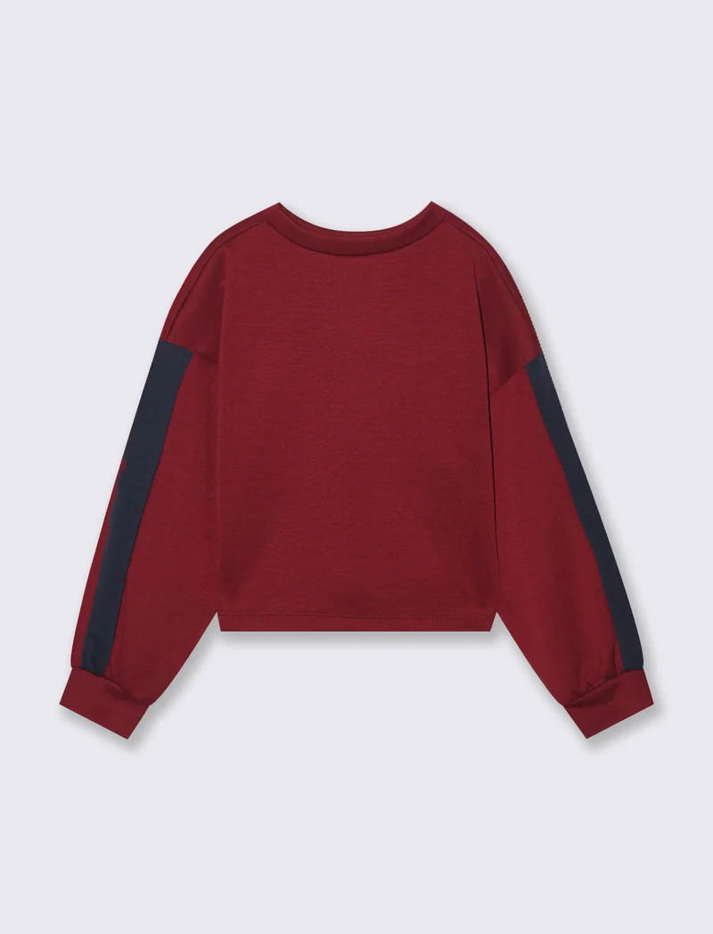Felpa cropped stile college - Bordeaux