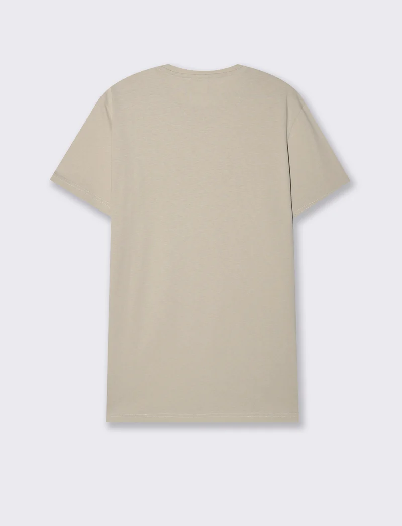 T-shirt in cotone con stampa regular fit da uomo - Grigio ghiaccio