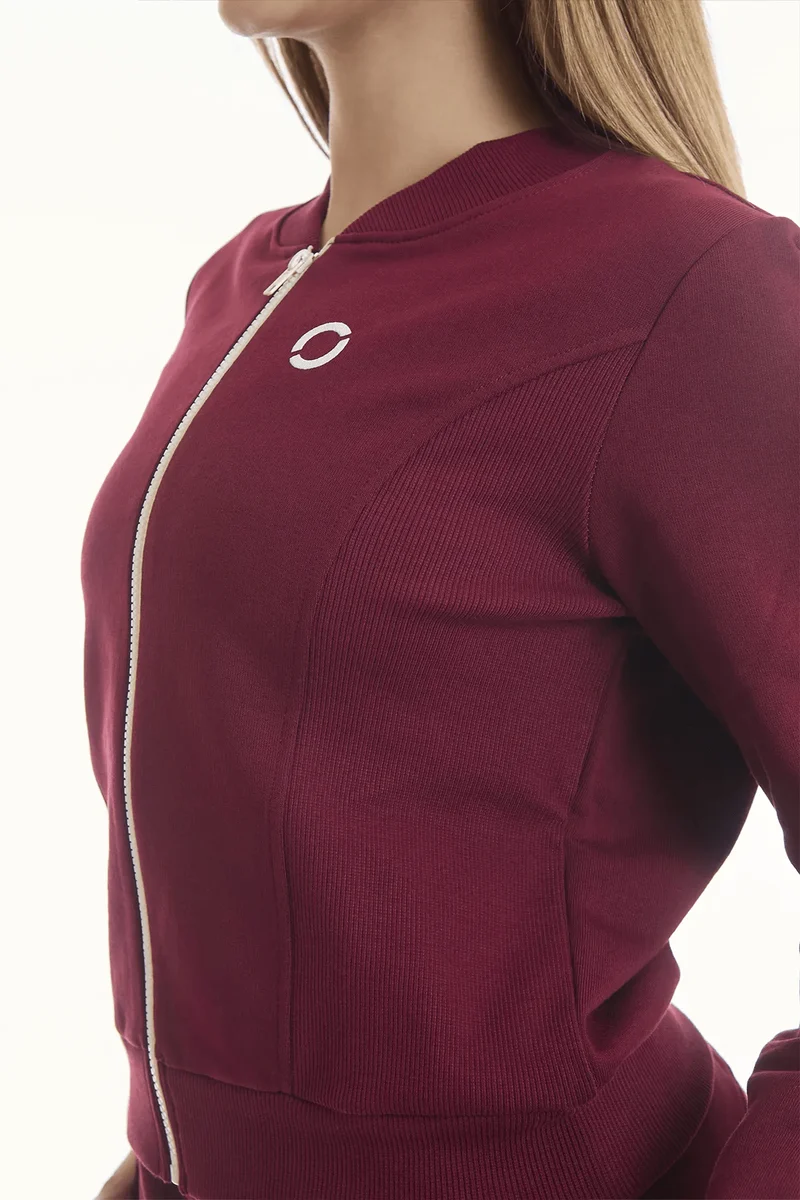 Felpa Ikonic Active Zip Prugna