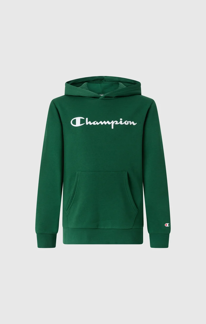 Boys' Fleece Hoodie Sweatshirt Script Logo