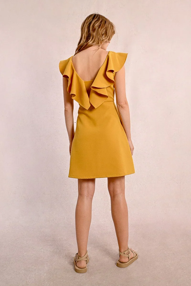 Short Retro Dress