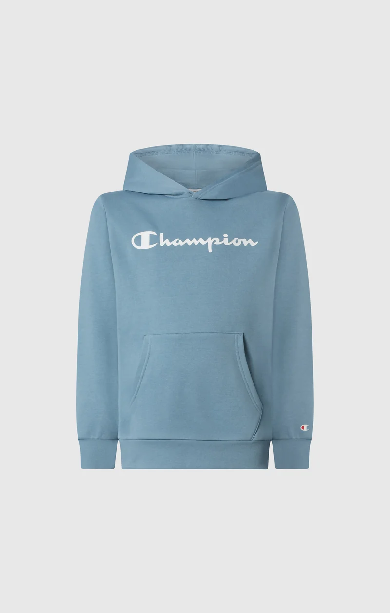 Boys' Fleece Hoodie Sweatshirt Script Logo