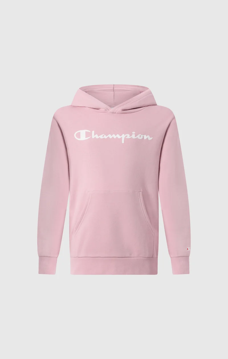 Boys' Fleece Hoodie Sweatshirt Script Logo