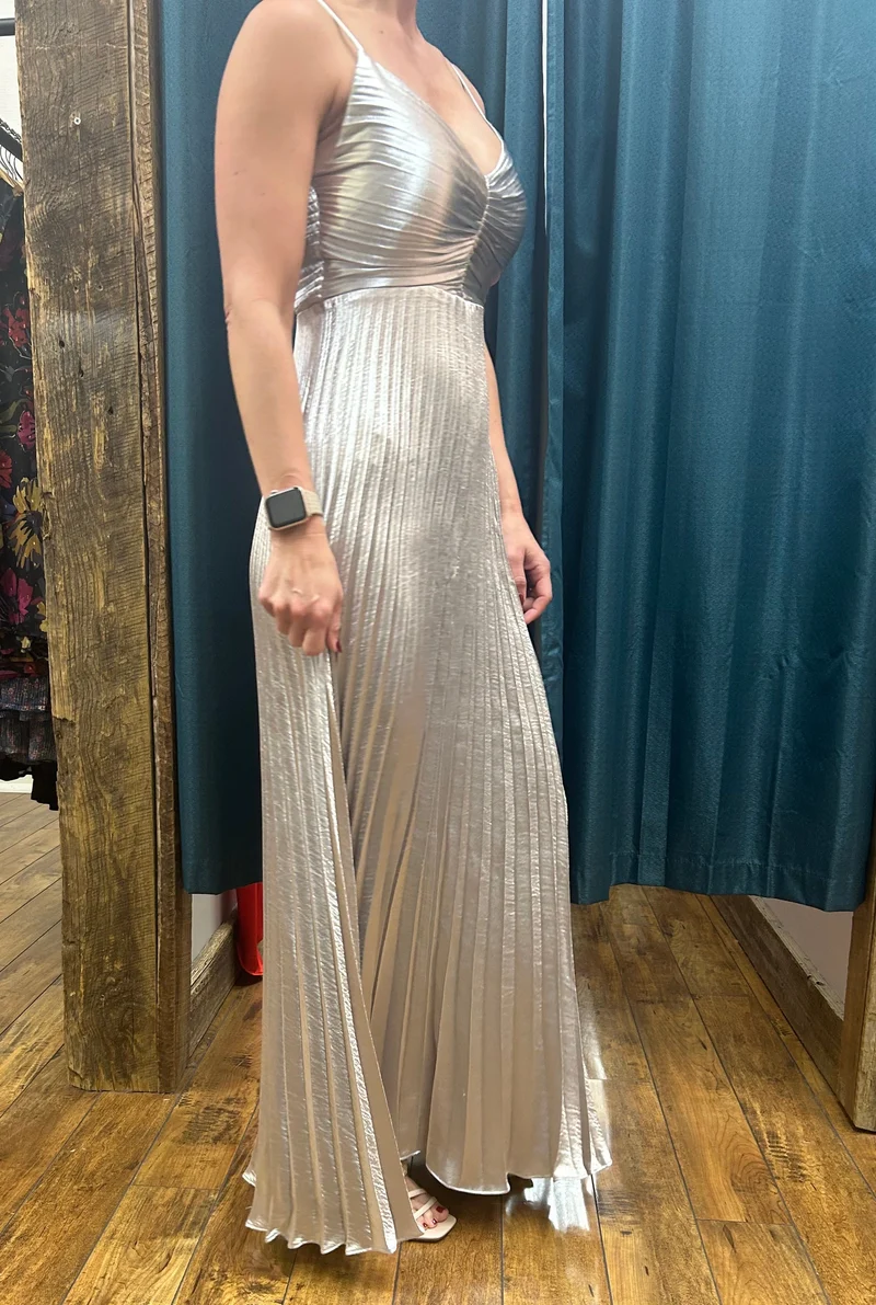 Rose Pleated Pewter Dress
