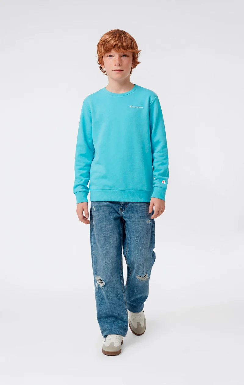Boys’ Lightweight Crewneck Sweatshirt Icons