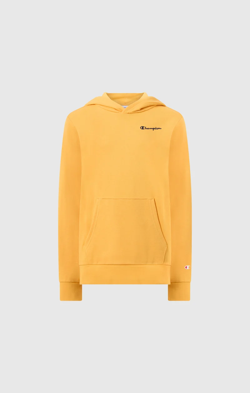 Boys’ Lightweight Hooded Sweatshirt Icons