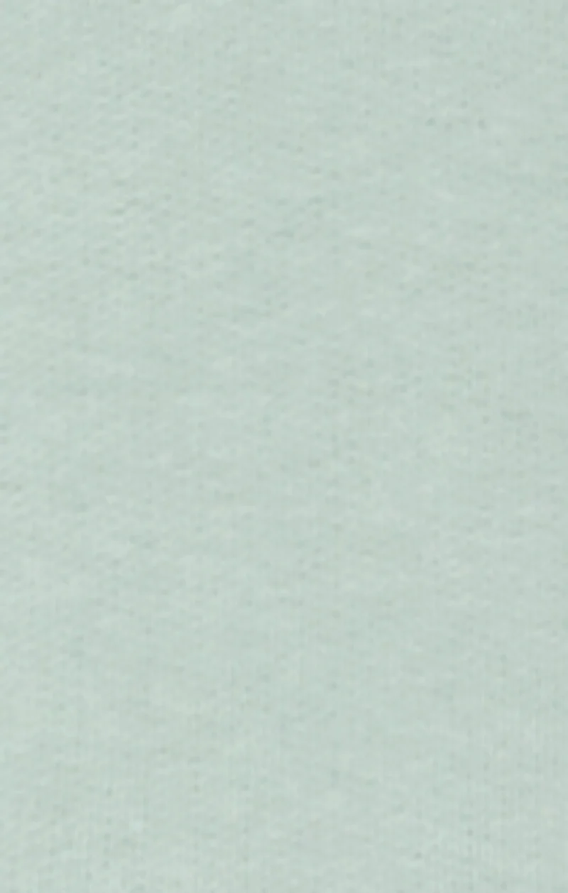 Men’s Hooded Sweatshirt With Brushed Interior And Puff Print Logo